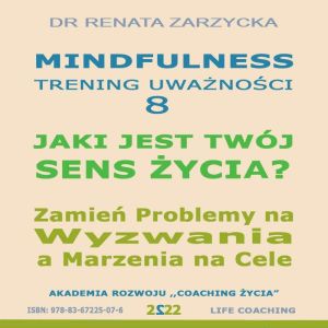 Jaki jest Twoj Sens Zycia? Zamien Problemy na Wyzwania a Marzenia na Cele i nigdy nie zostawaj w miejscu, gdzie nikt nie widzi