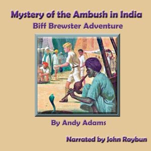 Mystery of the Ambush in India, Andy Adams