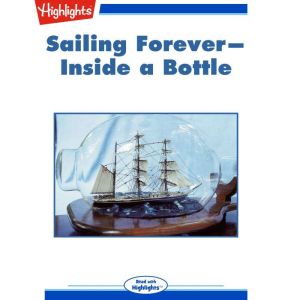 Sailing Forever Inside a Bottle, Pat Brodowski