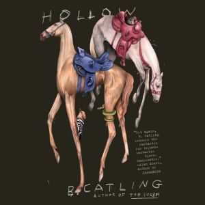 Hollow, Brian Catling
