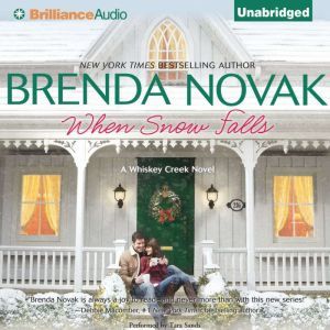 When Snow Falls, Brenda Novak