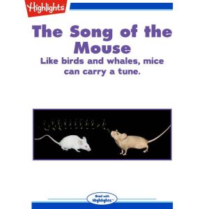 The Song of the Mouse, Highlights for Children