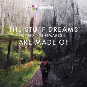 The Stuff Dreams And Nightmares Are..., Seeker