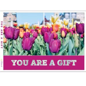 YOU ARE A GIFT: A Travel Journey