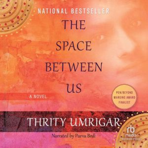 The Space Between Us, Thrity Umrigar