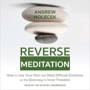 Reverse Meditation, Andrew Holecek