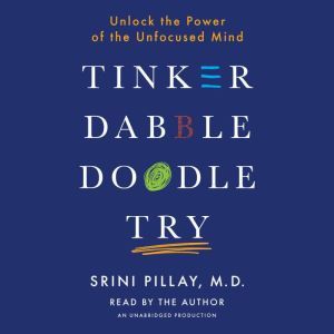 Tinker Dabble Doodle Try, Srini Pillay, M.D.