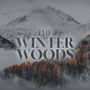 The Winter Woods, Stanton Davis Kirkham