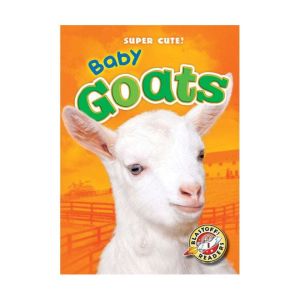 Baby Goats, Kari Schuetz