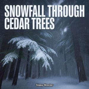 Snowfall Through Cedar Trees, Sleep Master