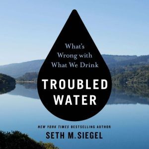 Troubled Water, Seth M. Siegel