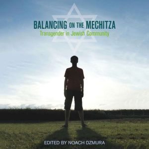 Balancing on the Mechitza, Noach Dzmura
