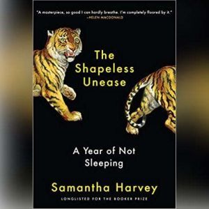The Shapeless Unease: A Year of Not Sleeping