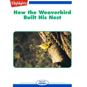 How the Weaverbird Built His Nest, George W. Frame, Ph.D.