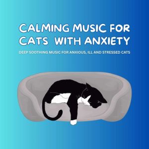 Calming Music for Cats with Anxiety ..., Pet Music Therapy