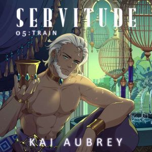 Servitude: Part V - Train (Yaoi Incubus Erotica)