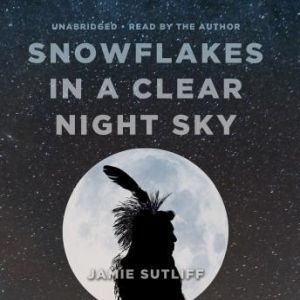 Snowflakes in a Clear Night Sky, Jamie Sutliff