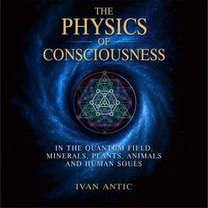 The Physics of Consciousness, Ivan Antic