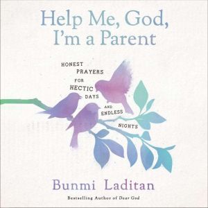 Help Me, God, Im a Parent, Bunmi Laditan