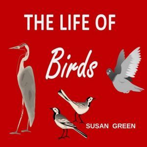 The Life of Birds, Susan Green