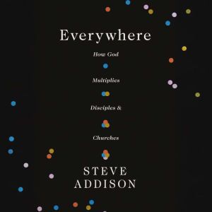 Everywhere, Steve Addison