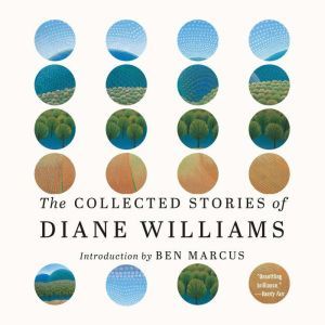 The Collected Stories of Diane Willia..., Diane Williams
