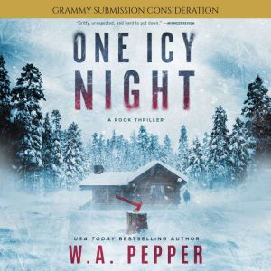 One Icy Night: A Rook Thriller