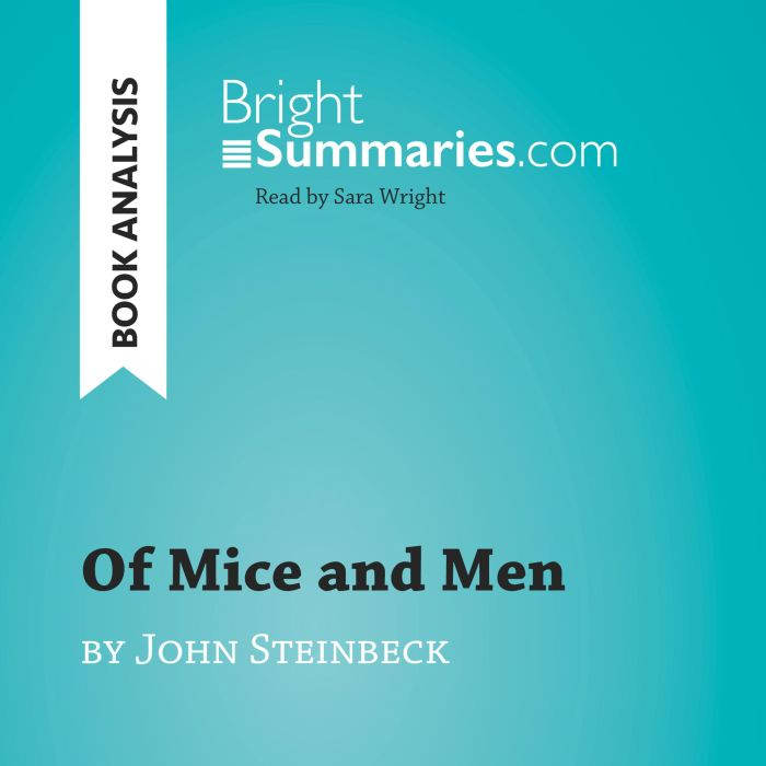 Of Mice and Men by John Steinbeck Bo..., Bright Summaries
