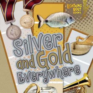 Silver and Gold Everywhere, Kristin Sterling