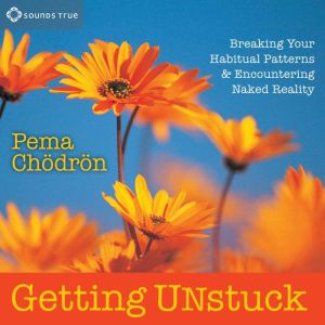 Getting Unstuck: Breaking Your Habitual Patterns and Encountering Naked Reality