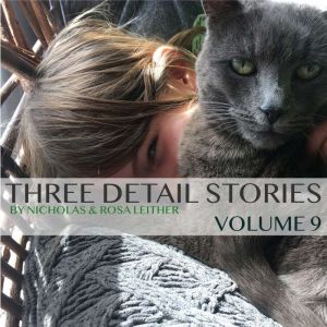 Three Detail Stories: Volume 9