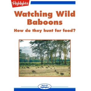 Watching Wild Baboons, Sharon T. Pochron, Ph.D.