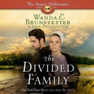 The Divided Family, Wanda E Brunstetter
