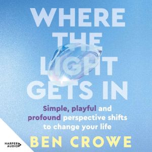 Where the Light Gets In: Simple, playful and profound perspective shifts to change your life