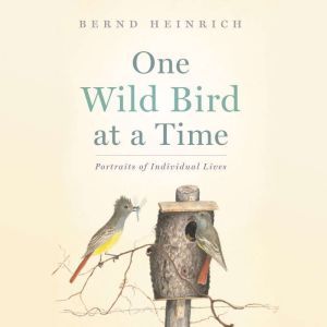 One Wild Bird at a Time Portraits of..., Bernd Heinrich