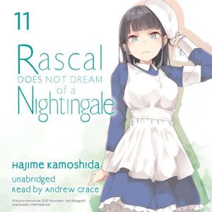 Rascal Does Not Dream of a Nightingal..., Hajime Kamoshida