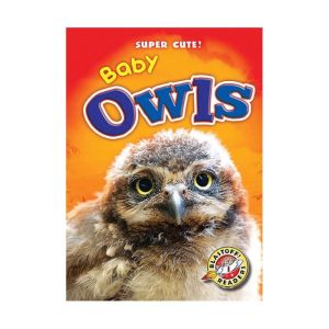 Baby Owls, Christina Leaf