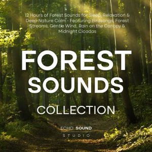 Forest Sounds Collection 12 Hours of..., Echo Sound Studio