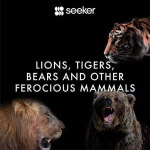 Lions, Tigers, Bears and Other Feroci..., Seeker