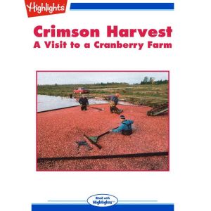 Crimson Harvest, Judith Boogaart