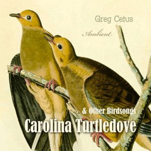 Carolina Turtledove and Other Birdson..., Greg Cetus