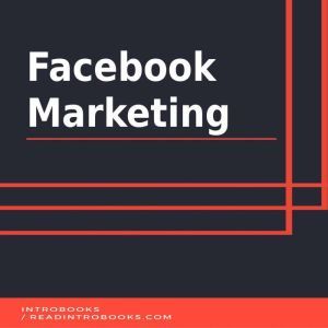 Facebook Marketing, Introbooks Team