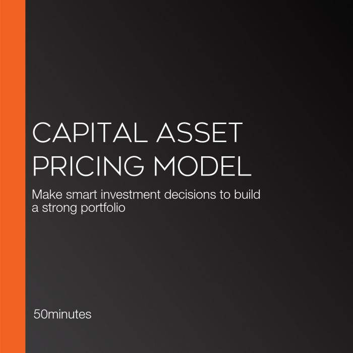 Capital Asset Pricing Model, 50minutes