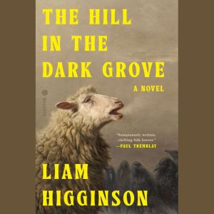 The Hill in the Dark Grove, Liam Higginson