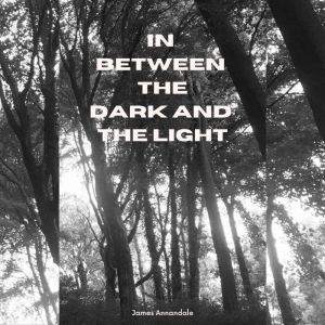 In Between the Dark and the Light, James Annandale