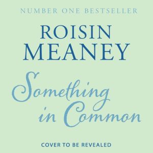 Something in Common, Roisin Meaney