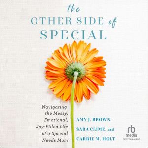 The Other Side of Special, Amy J. Brown