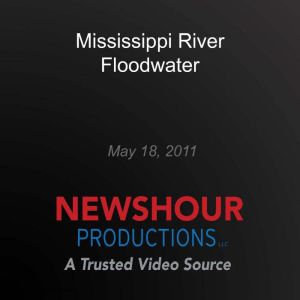 Mississippi River Floodwater