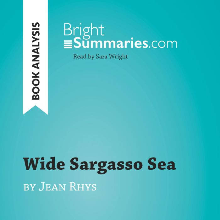 Wide Sargasso Sea by Jean Rhys Book ..., Bright Summaries