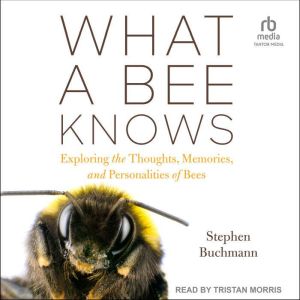 What a Bee Knows, Stephen Buchmann